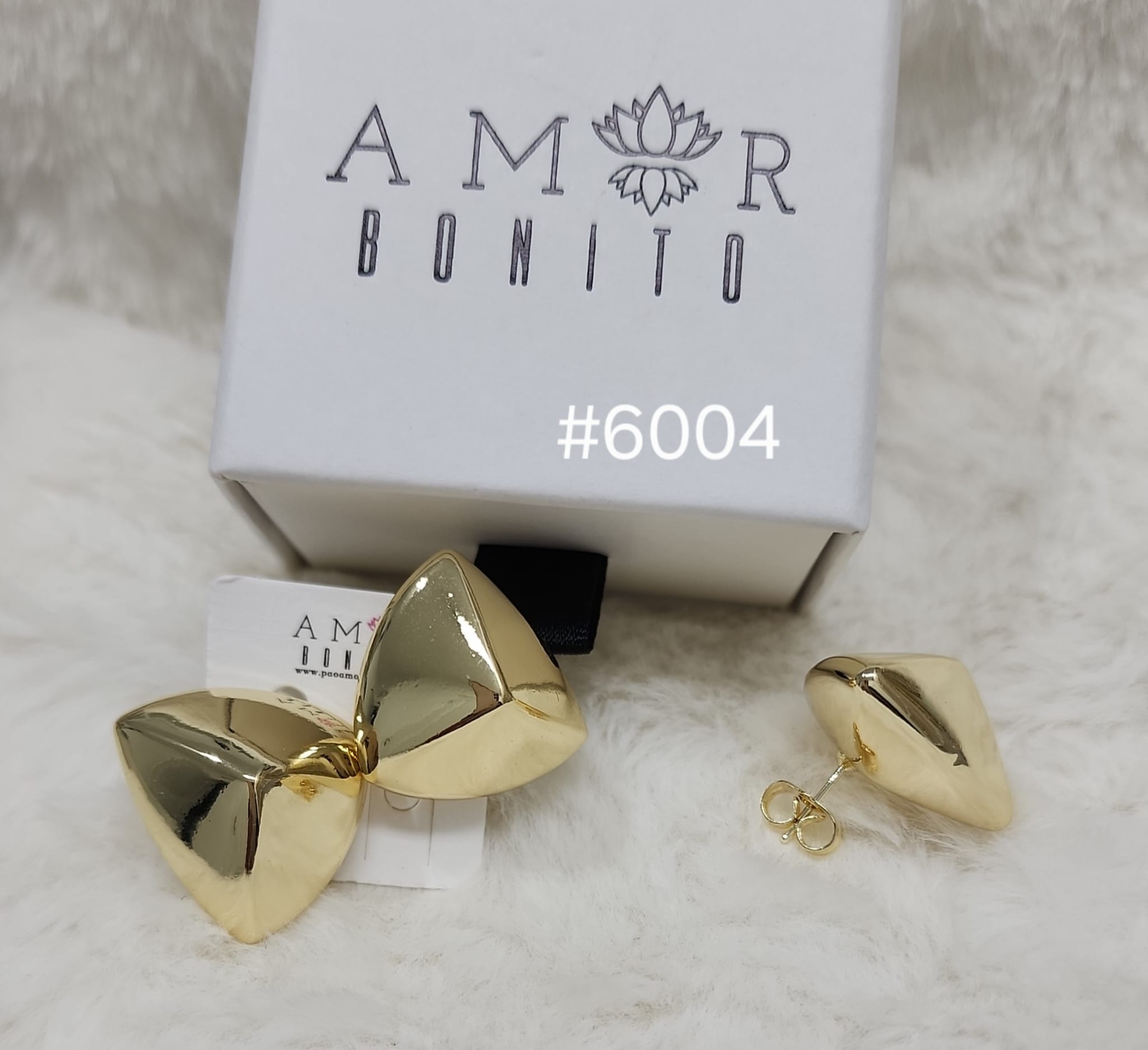 #6004