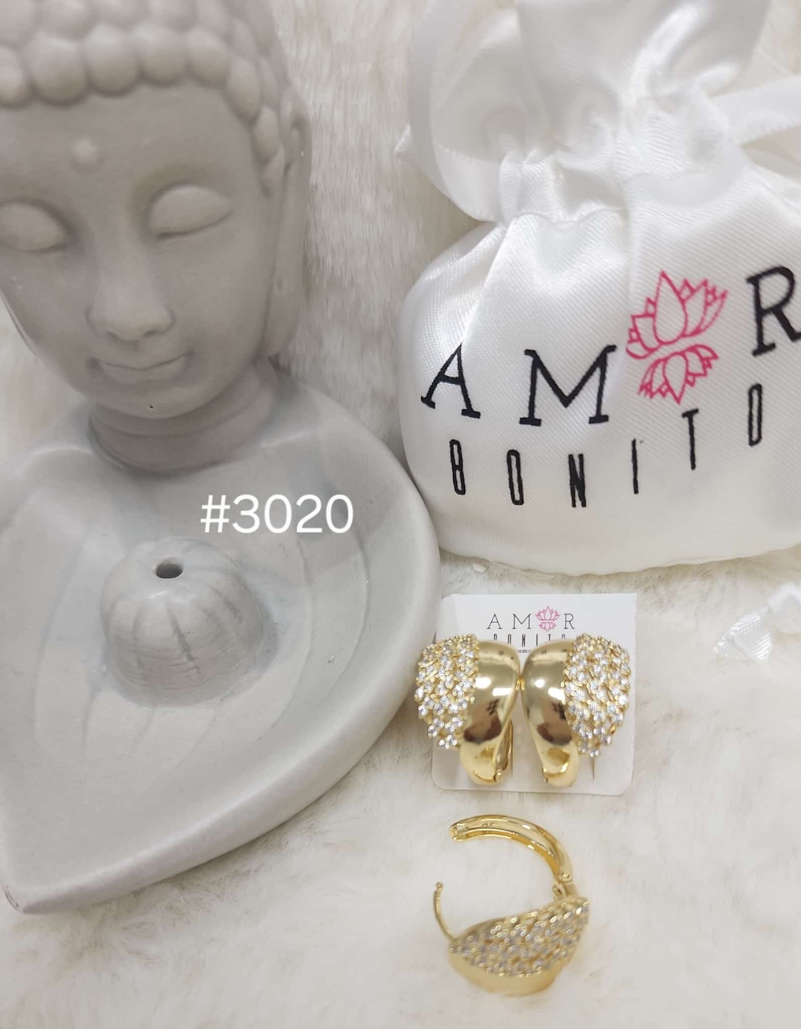 #3020