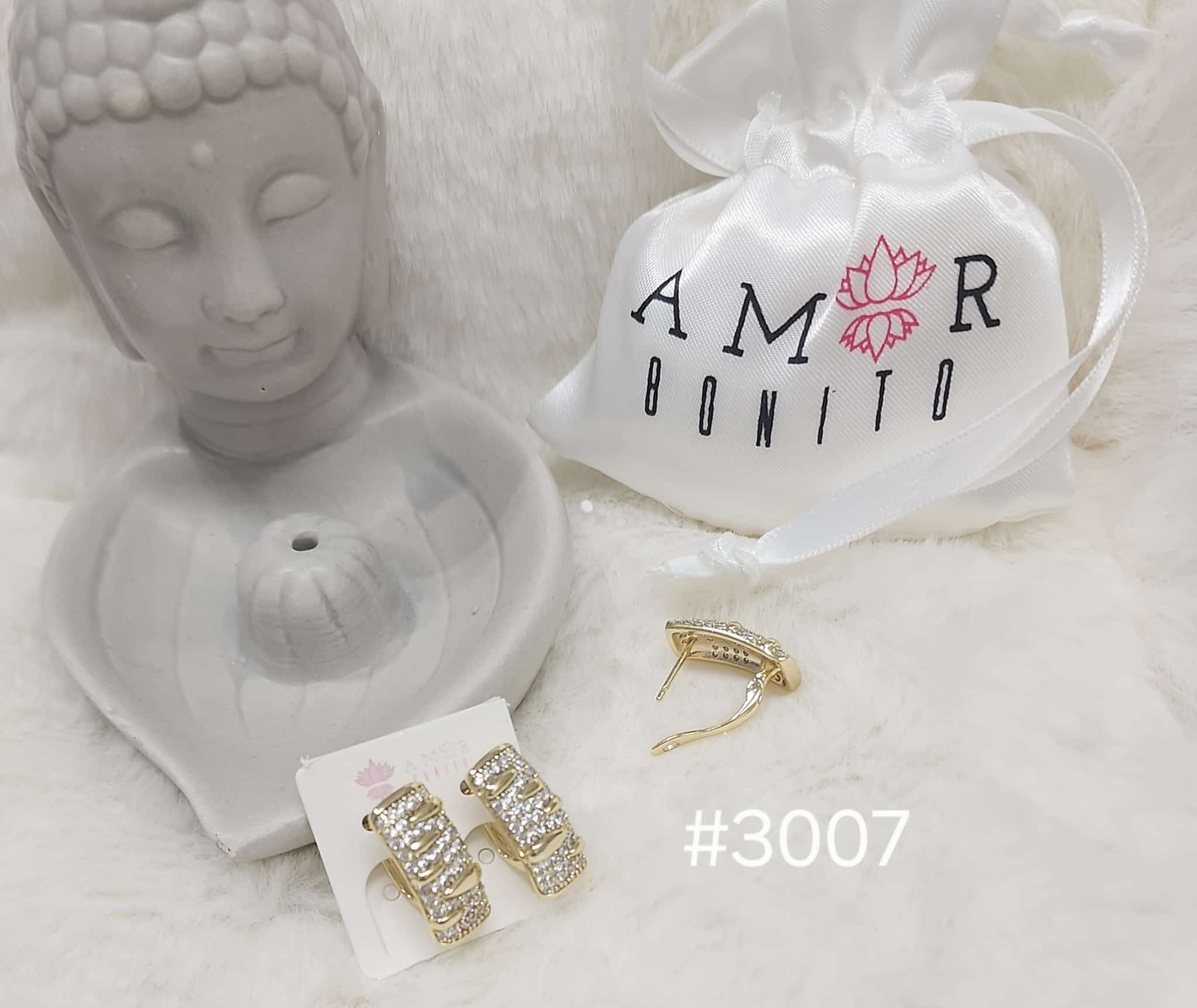 #3007