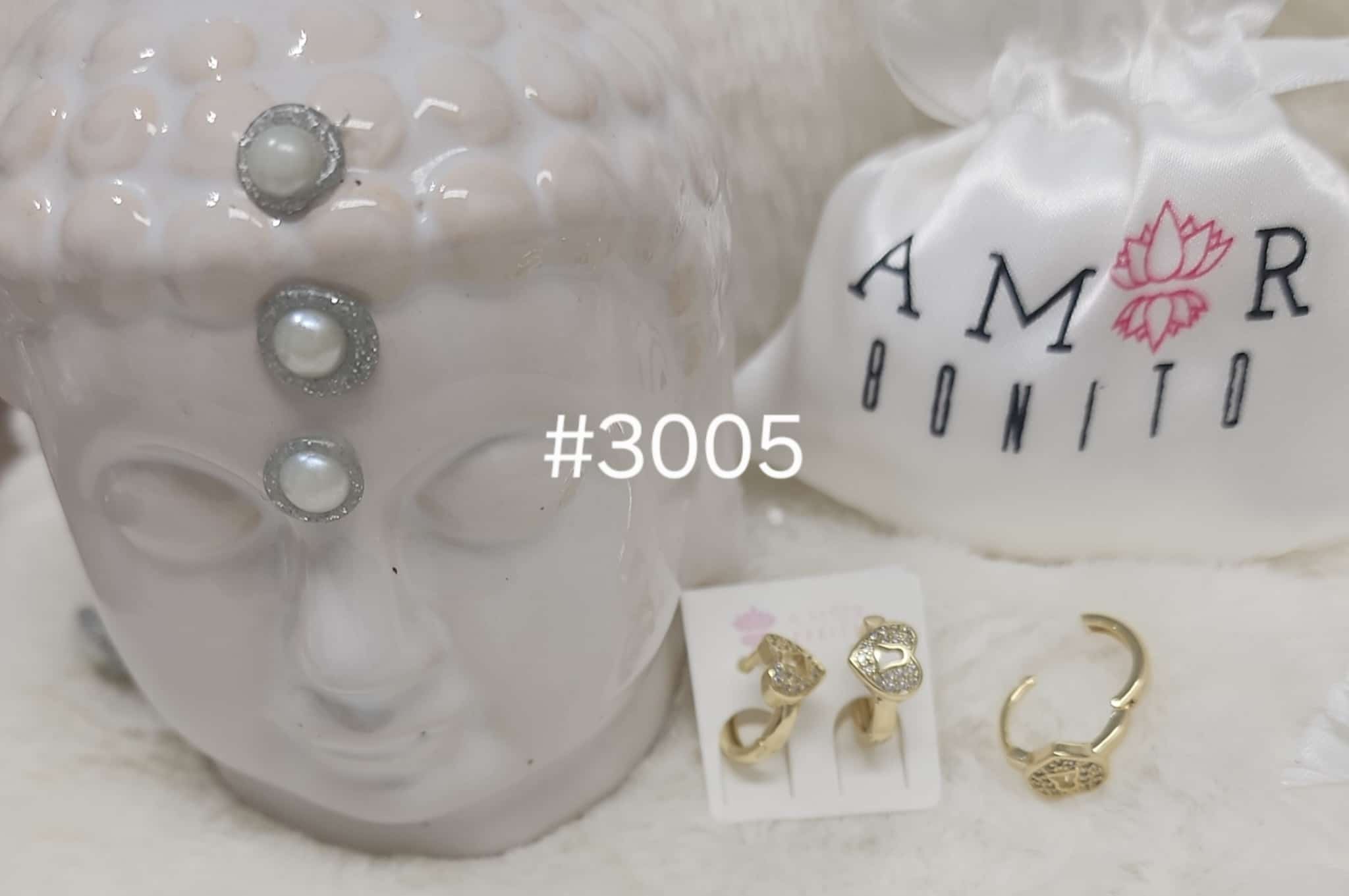 #3005